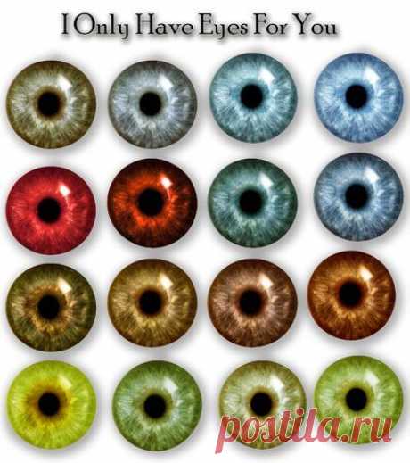 (13) Pinterest