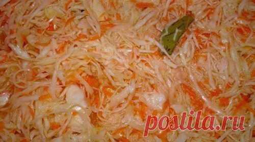 Очень быстрая капустка. Залил и готово  Капуста вкусная, витаминная. Хрустящая!


Рецепт приготовления
 Берём из расчёта три килограмма капусты.

Капусту нашинковать.
Натереть три крупные морковки на крупной тёрке.
Выдавить из чесночницы 3…