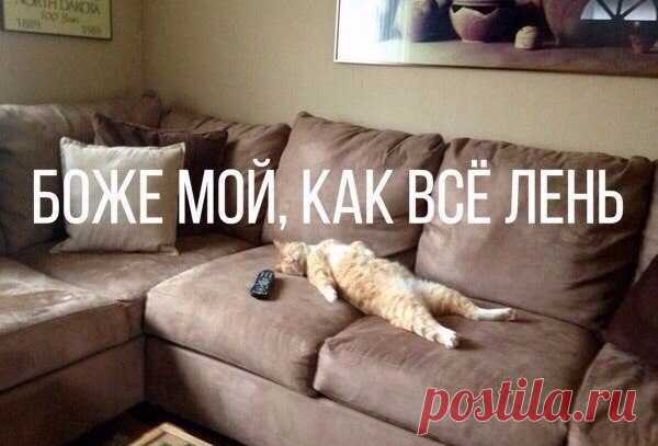#о,великие женщины