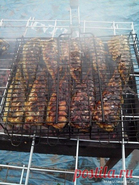 Приготовление скумбрии на мангале.