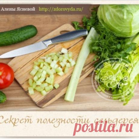 Полезные секреты стеблей сельдерея или чем полезен черешковый сельдерей