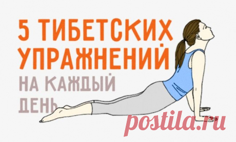 Упражнения для красивой спины