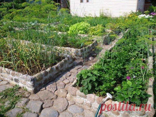 Огород без перекопок - высокие грядки - Садоводка