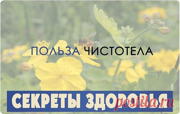 Интересные новости
Первое место по онкозаболеваниям