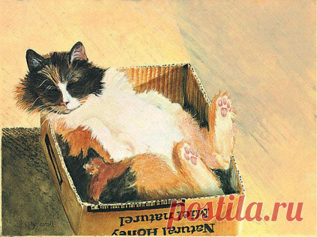 Лин