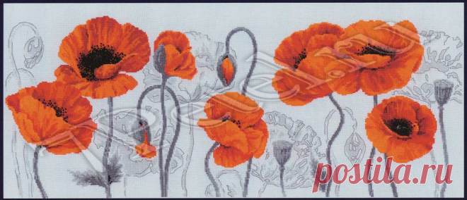 Алые маки 100-037. Вышивка нитками > Риолис > Цветы. Scarlet poppies