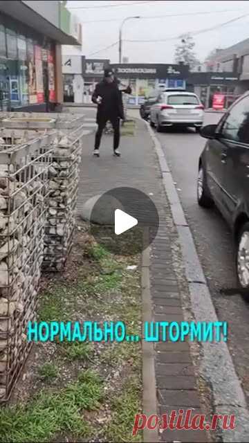 (13) Главная / X