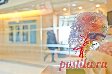 5 интересных фактов из научно-популярных книг