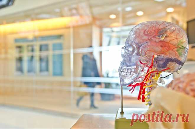 5 интересных фактов из научно-популярных книг