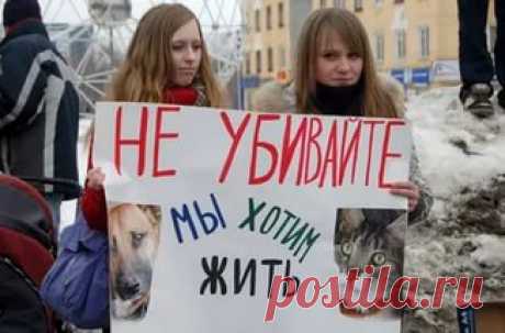 КТО ТОЧНО ПОЙДЁТ НА ПИКЕТ НАПИШИТЕ НОМЕРА СВОИ В ЛИЧКУ МНЕ ЧТО БЫ Я ТОЧНО ЗНАЛА СКОЛЬКО ЛЮДЕЙ И ЧТО БЫ Я МОГЛА ВАС ВСЕХ ОПОВЕСТИТЬ И ОБЗВОНИТЬ!!!!!!!!!!!!!!!