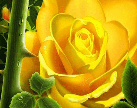 5466022.gif (1014×803)
