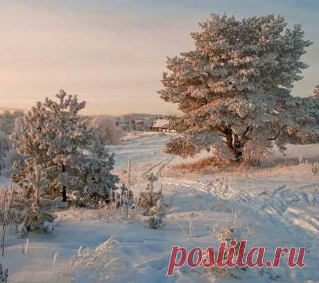 (1) Facebook