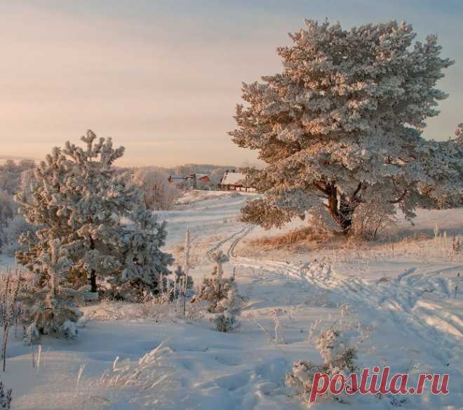 (1) Facebook