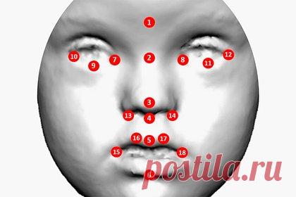 Обнаружена неточность в нейросети для диагностики редких заболеваний. Ученые Университета Рамона Льюлля обнаружили неточность в нейросети для диагностики заболеваний по изображению лица. Оказывается, что они плохо выявляют нарушения у пациентов неевропейской популяции. Авторы считают, что необходимо включение популяций индейского, африканского и азиатского происхождения в алгоритмы ИИ.