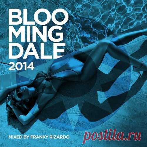 Download VA - 2014 - Bloomingdale 2014 Mixed By Franky Rizardo [Defected In The House] d Label ITH (Defected In The House) Styles House, Tech House, Deep House Date 2014-06-29 Catalog # BLOOM05D4 Length 333:46 Tracks 29