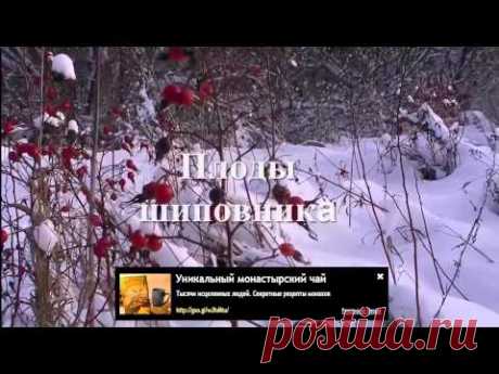 Народные методы лечения атрофического гастрита