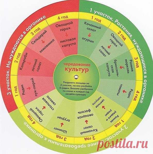 Севооборот: Что после чего сажать нельзя