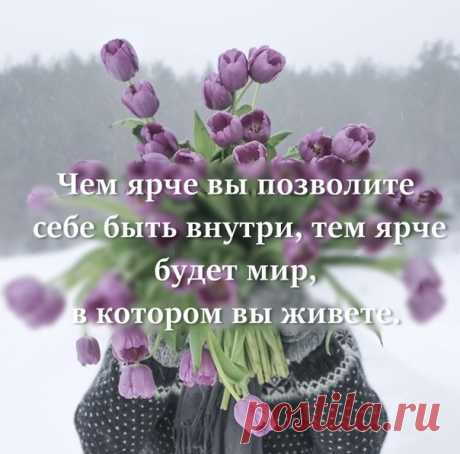 🌙Область Полуночи🌙