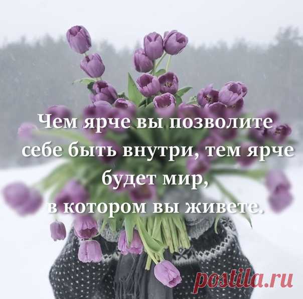 🌙Область Полуночи🌙