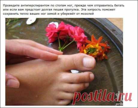 Простые хитрости, делающие нашу жизнь проще