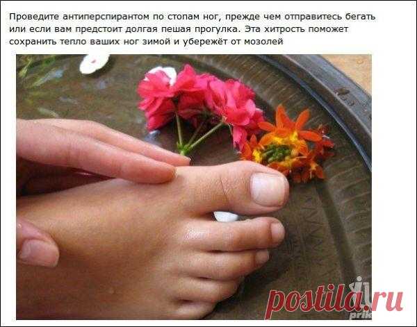 Простые хитрости, делающие нашу жизнь проще