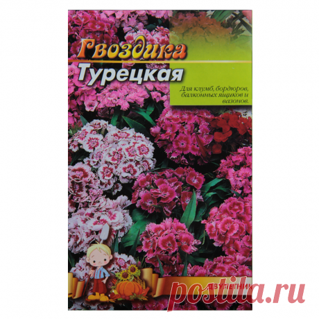 Гвоздика Турецкая Двулетник Семена Цветы, Большой Пакет 3г — в Категории