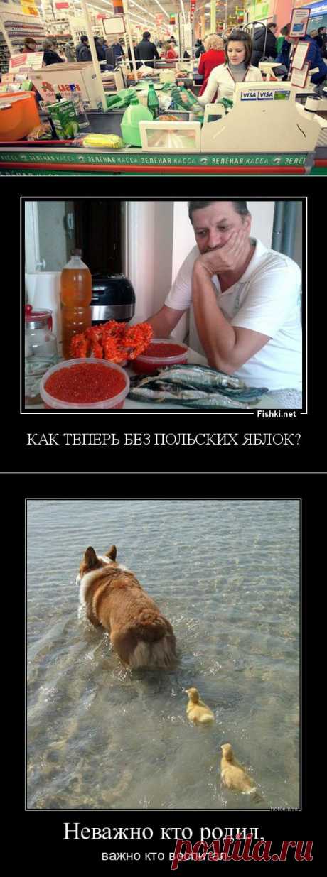 Добрые люди и быдлотётка. (!)
Жизнь, жизнь, жизнь...