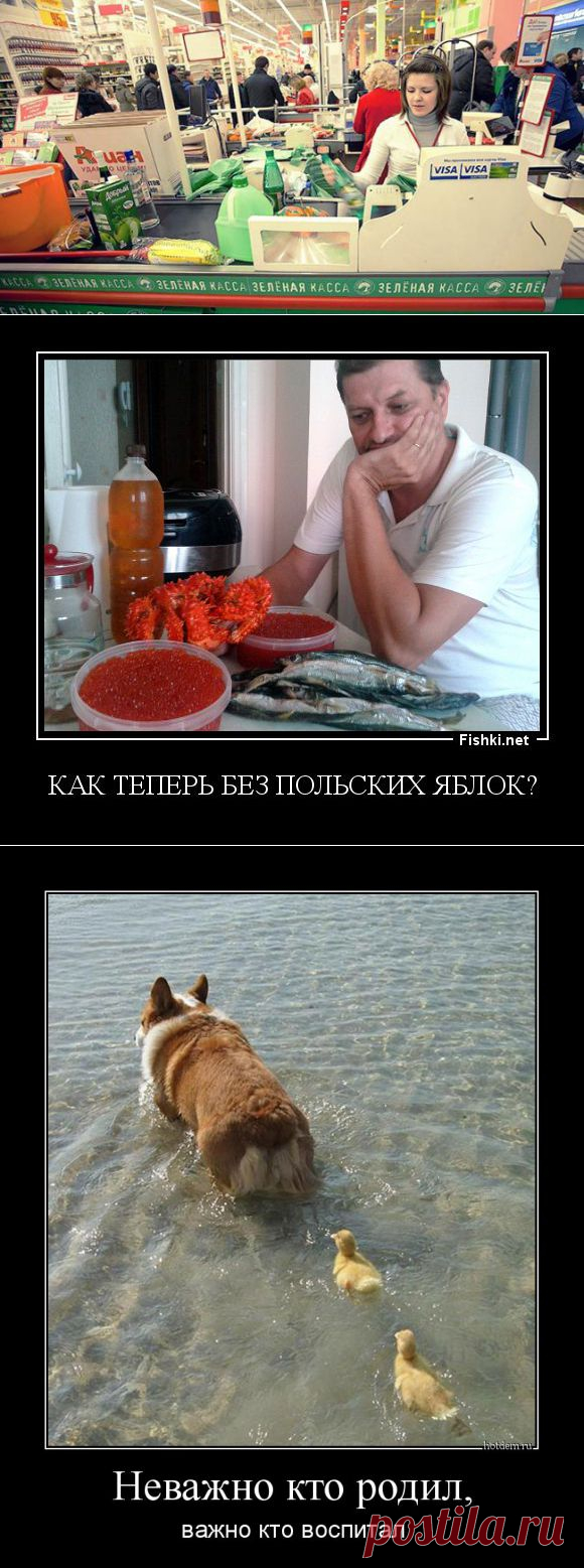 Добрые люди и быдлотётка. (!)
Жизнь, жизнь, жизнь...
