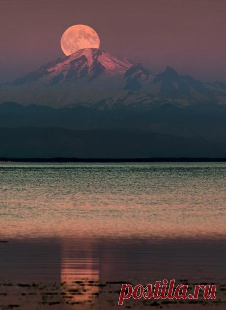 Pinterest