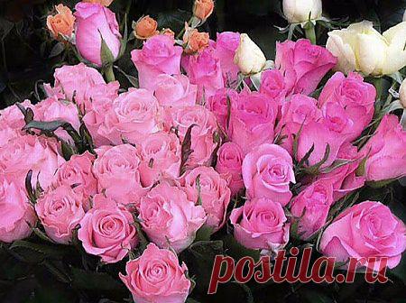 Мой Мир@Mail.Ru