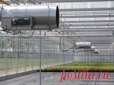 Отопление теплицы 110 фото методов оптимизации климата Портал о ландшафтном дизайне - обзор лучших дизайнерских идей и секретов по уходу за садом и дачей