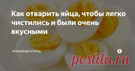 Как отварить яйца, чтобы легко чистились и были очень вкусными Добрый день! Делюсь полезным жизненным секретом - как правильно отварить яйца, чтобы их можно было легко почистить и на вкус - просто объеденье.
Подписывайтесь на Урожайный огород! Ставьте палец вверх, оставляйте комментарии
Близятся новогодние праздники, а это значит, что нам нужно готовить много блюд, салатов, в составе которых яйца (и, конечно же, майонез, куда без него).
Но, сейчас о яйцах.