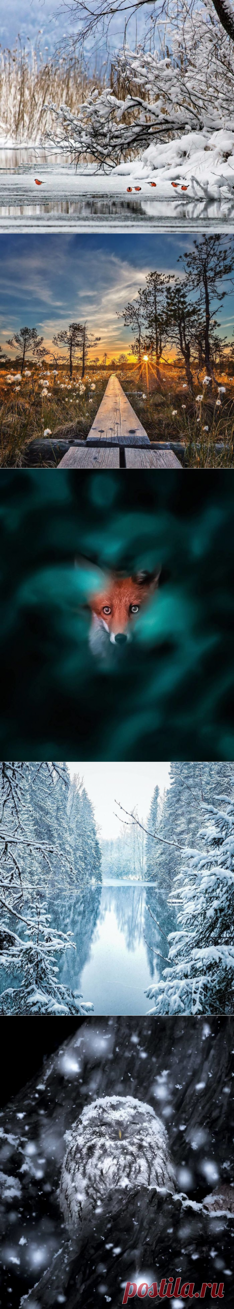 После этих фото вы влюбитесь в Финляндию | КТО?ЧТО?ГДЕ? (2)