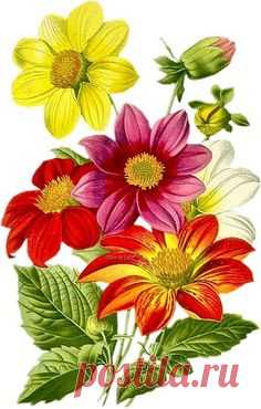 Pinterest • Всемирный каталог идей