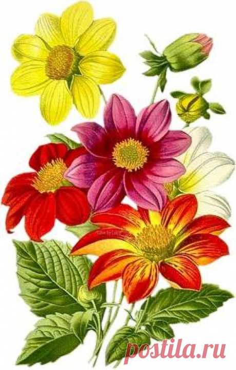 Pinterest • Всемирный каталог идей