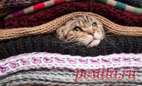 Прячем теплые вещи до осени: практичное хранение и правильная подготовка