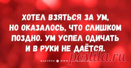 10 смешных коротких анекдотов, которые запомнятся вам надолго!. 21.by