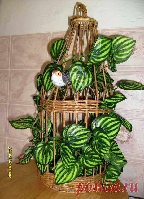 Кашпо для цветов без дна. Мастер-класс и идеи для вдохновения