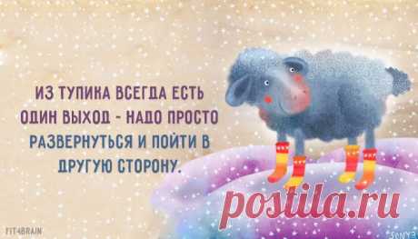 Одной фразой – Фитнес для мозга