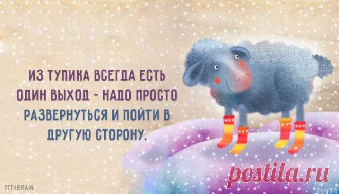 Одной фразой – Фитнес для мозга