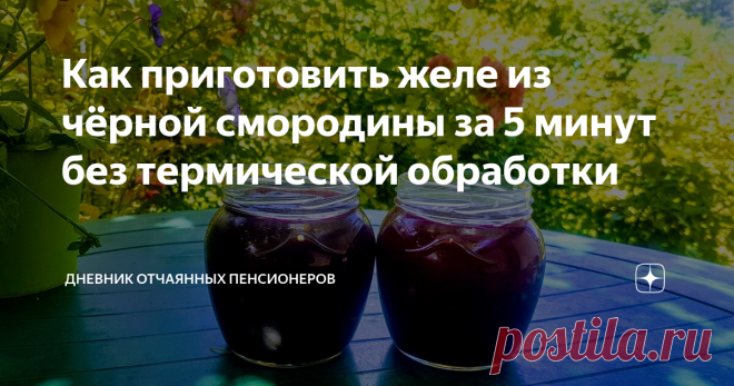 Как приготовить желе из чёрной смородины за 5 минут без термической обработки Сегодня утром собрали ягоды с наших двух кустов черной смородины. Сорт неизвестен, т.к. покупали саженцы на рынке. Она некрупная, не очень урожайная, но сладкая.
В последние годы мы не готовим ни варенье, ни соленья. Всё замораживаем? фрукты, овощи,  и храним в морозильнике. Это удобно: зимой разморозил и приготовил всё, что хочешь.
Вот и сегодняшнюю смородину я частично заморозила в пакетах, а из