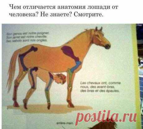 Книжка для детей. Прочитал и сразу к психологу!