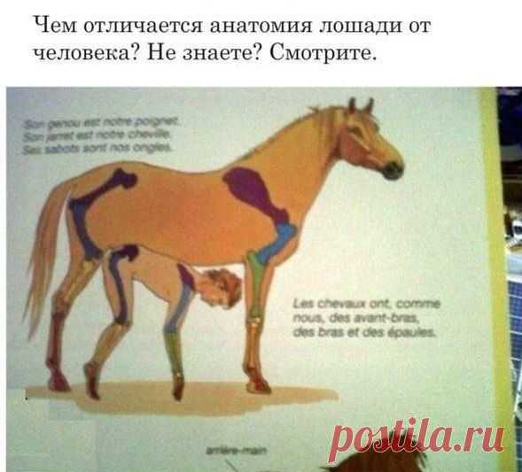 Книжка для детей. Прочитал и сразу к психологу!