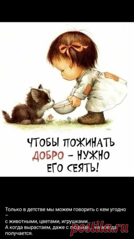 Картинки – КРАСИВЫЕ КАРТИНКИ. ВИДЕО. МИР, В КОТОРОМ МЫ ЖИВЕМ! , пользователь Irina Irinka | Группы Мой Мир