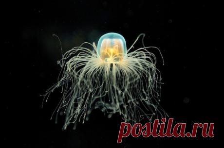 Потрясающие фотографии, которые способны многих удивить