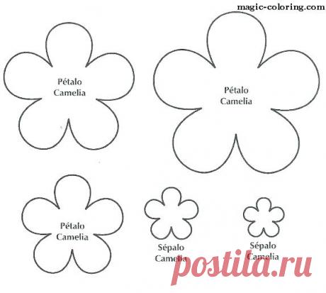 plantilla de plantilla de hibisco