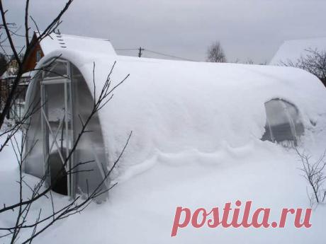 Теплица сибирская: особенности, преимущества, отзывы