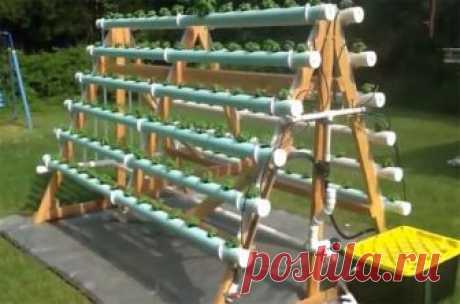 Грядки для клубники в трубах ПВХ своими руками