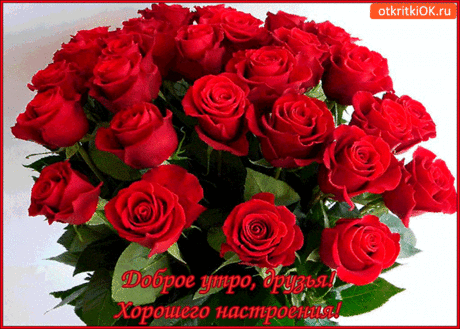 Доброе утро, друзья! Хорошего настроения! - Бесплатные Открытки на otkritkiok.ru