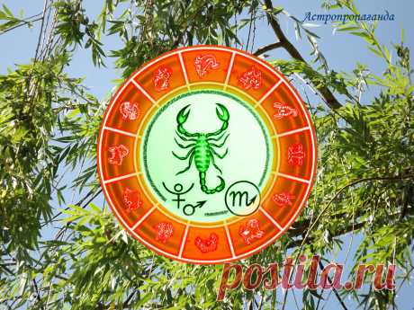 ✨♏ Гороскоп для Скорпиона с 27 июня по 31 июля 2022 ✧
♏✨ Автор: астролог Нина Стрелкова. 
✧ Период разгадывания тайн, проникновения в неведомое. Неплохо также решать юридические вопросы, обращаться в различные инстанции. Будьте сдержаннее в своих высказываниях, особенно если они касаются политики или общественной морали...